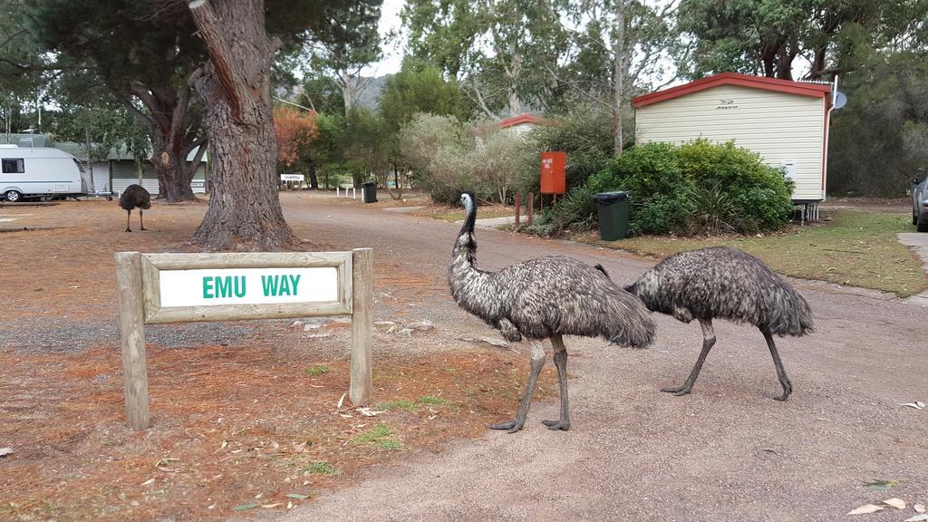 Breeze Holiday Parks - Grampians هولز غاب المظهر الخارجي الصورة