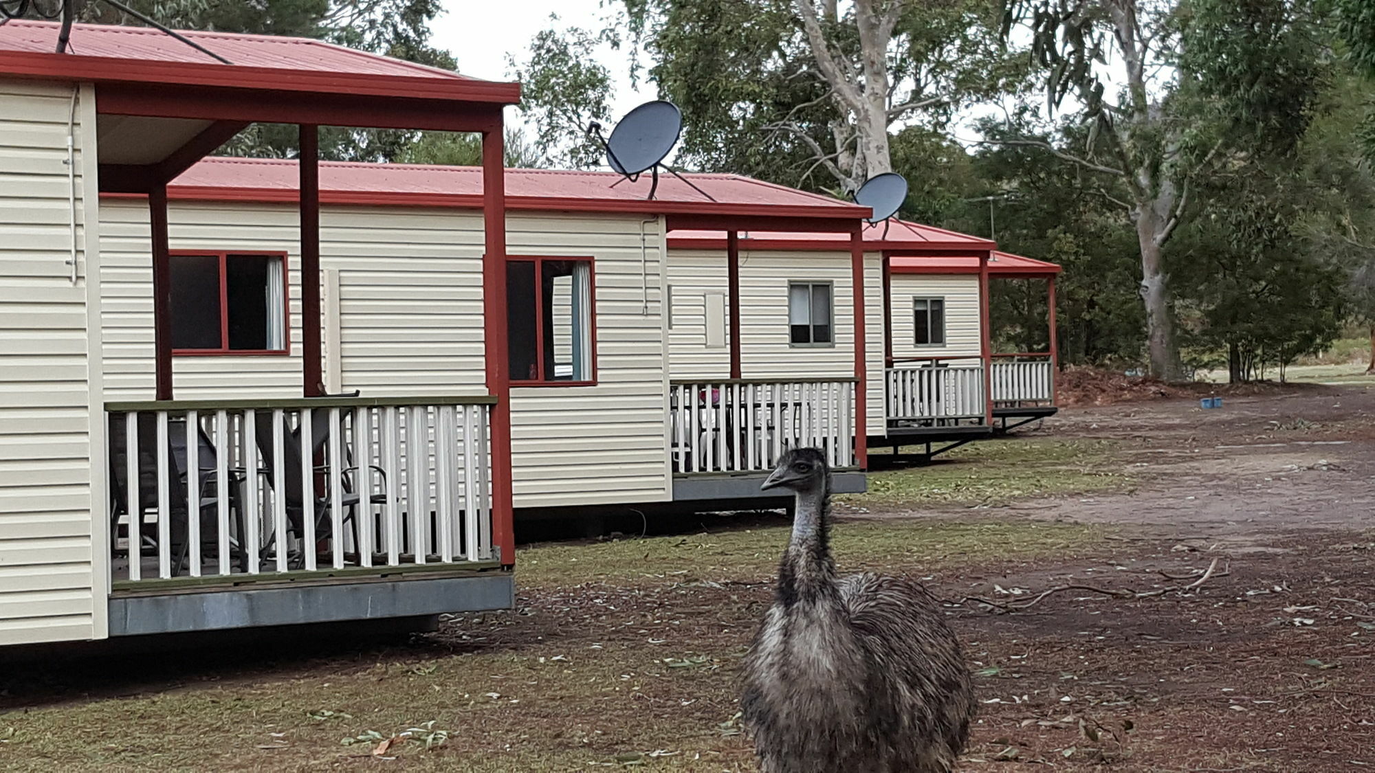 Breeze Holiday Parks - Grampians هولز غاب المظهر الخارجي الصورة